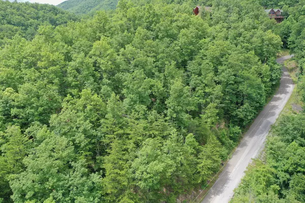 Gatlinburg, TN 37738,Lot 71 Big Bear Ridge