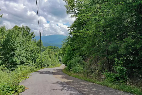 Gatlinburg, TN 37738,Lot 71 Big Bear Ridge