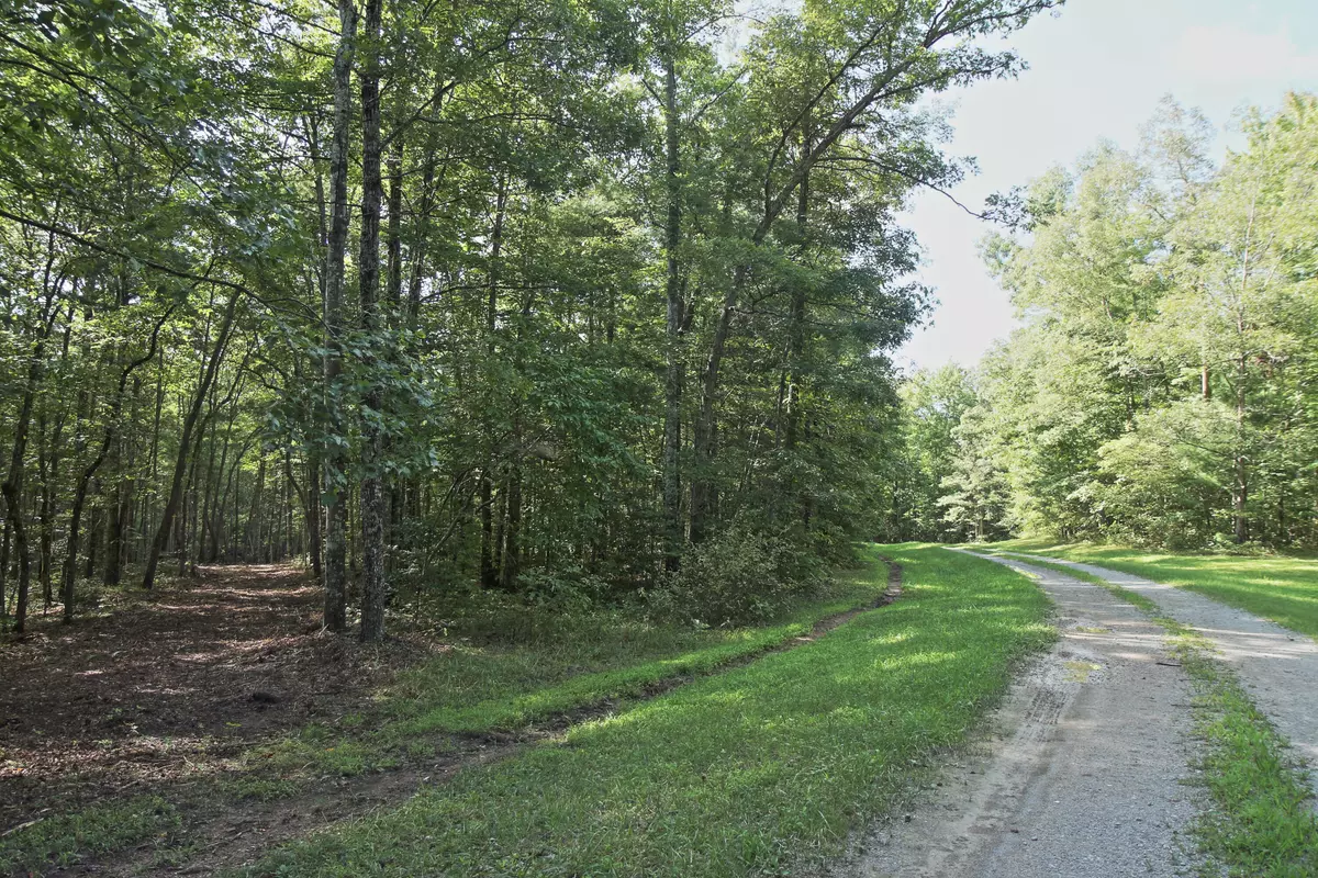 Allardt, TN 38504,8 Acres Double Arch Retreat