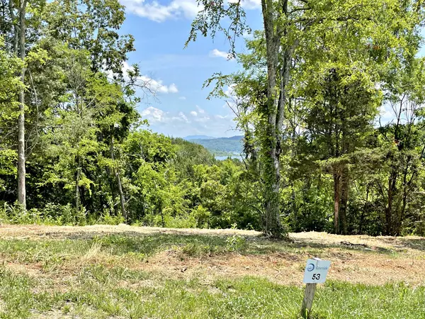 Dandridge, TN 37725,Lot 53 Clear Sail WAY