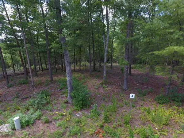 Lot 4 Mountain Ash WAY, Sevierville, TN 37876