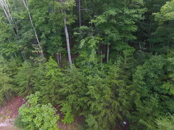 Sevierville, TN 37876,Lot 49 Mountain Ash Way