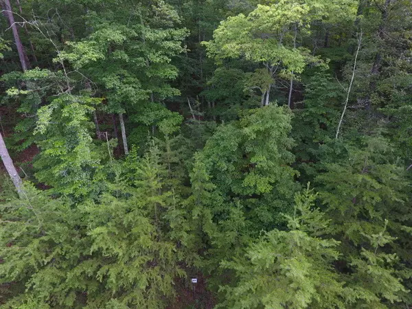 Sevierville, TN 37876,Lot 49 Mountain Ash Way