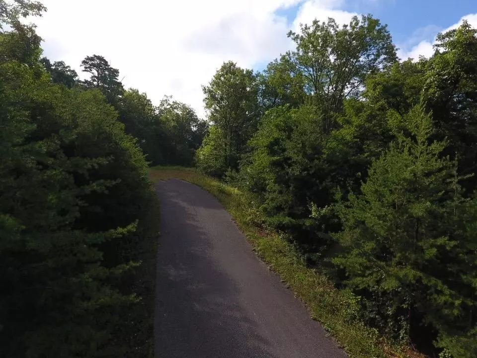 Sevierville, TN 37876,Lot 49 Mountain Ash Way