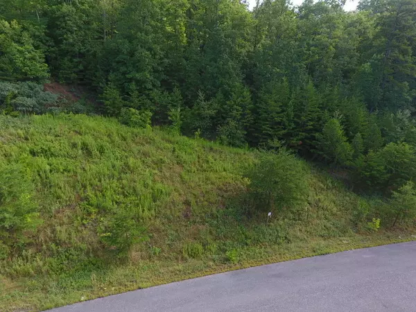 Sevierville, TN 37876,Lot 57 Mountain Ash Way