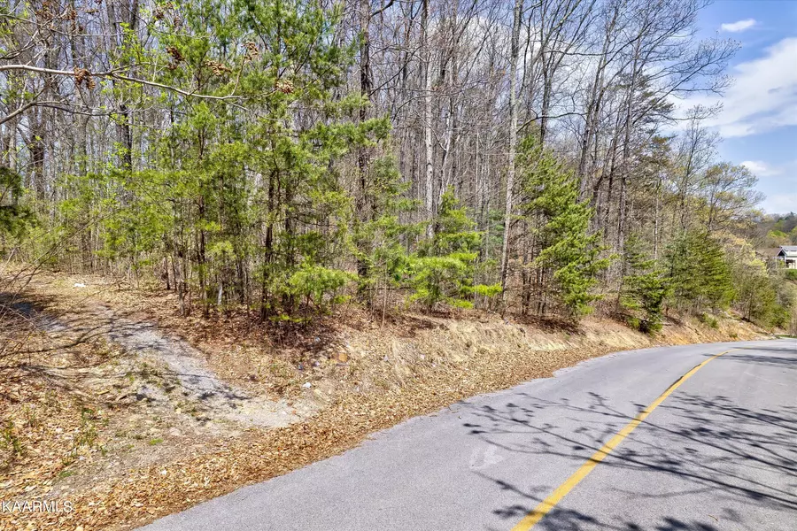 Lot 125E Settlers View LN, Sevierville, TN 37862