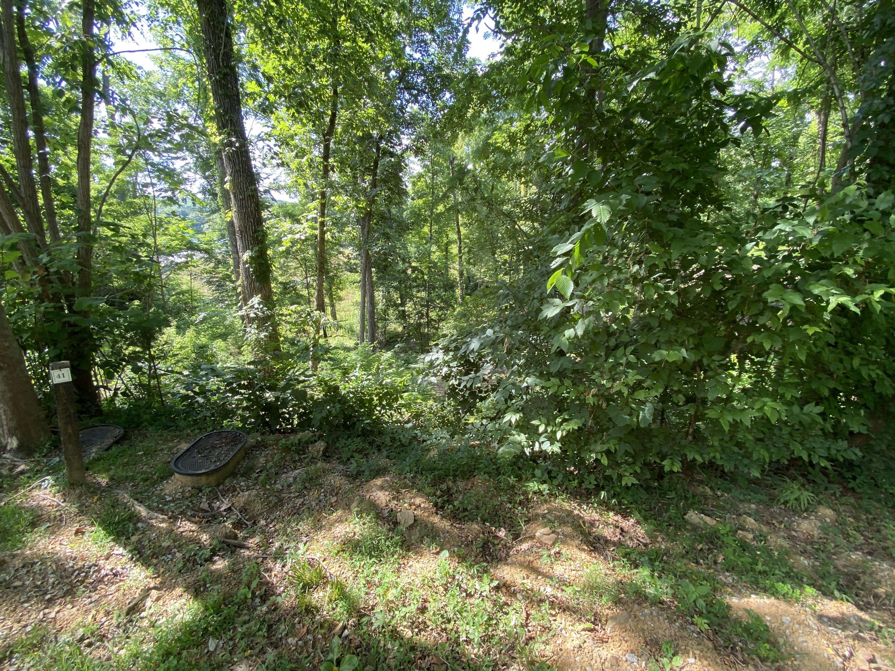 Sanctuary Shores WAY, Sevierville, TN 37876