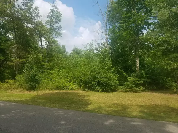 Mountain Preserve Rd, Crab Orchard, TN 37723