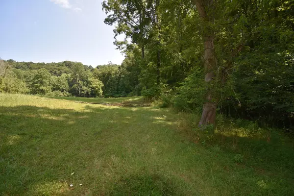 Sneedville, TN 37869,00 River Rd. (off Riley Rd.)