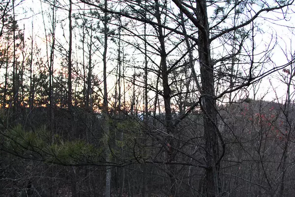 Sevierville, TN 37876,Lot 118 McInturf WAY