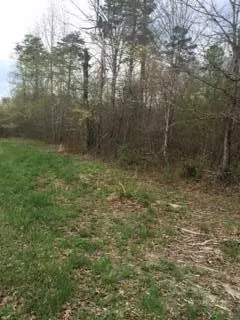 Magnolia CT, Grimsley, TN 38565