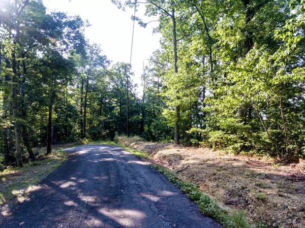 Sevierville, TN 37862,Lot 9 Headrick Lead