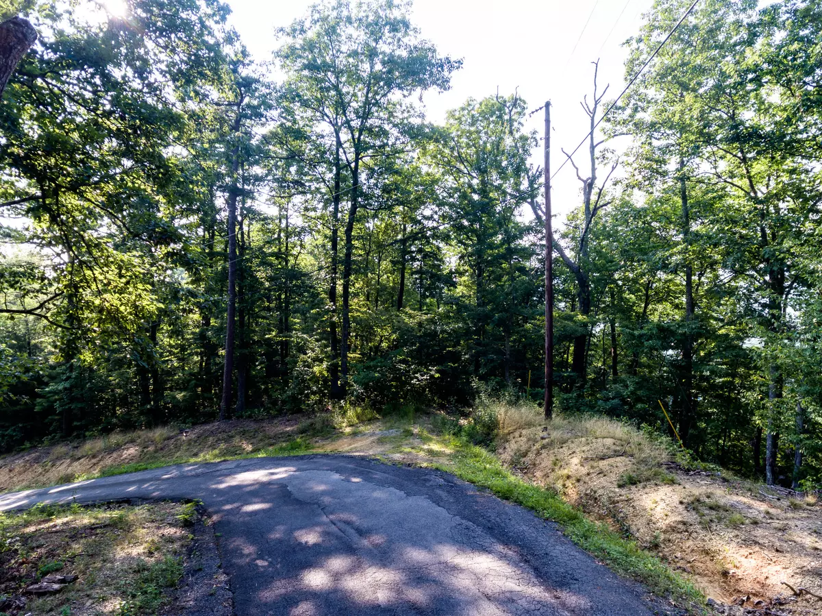 Sevierville, TN 37862,Lot 9 Headrick Lead