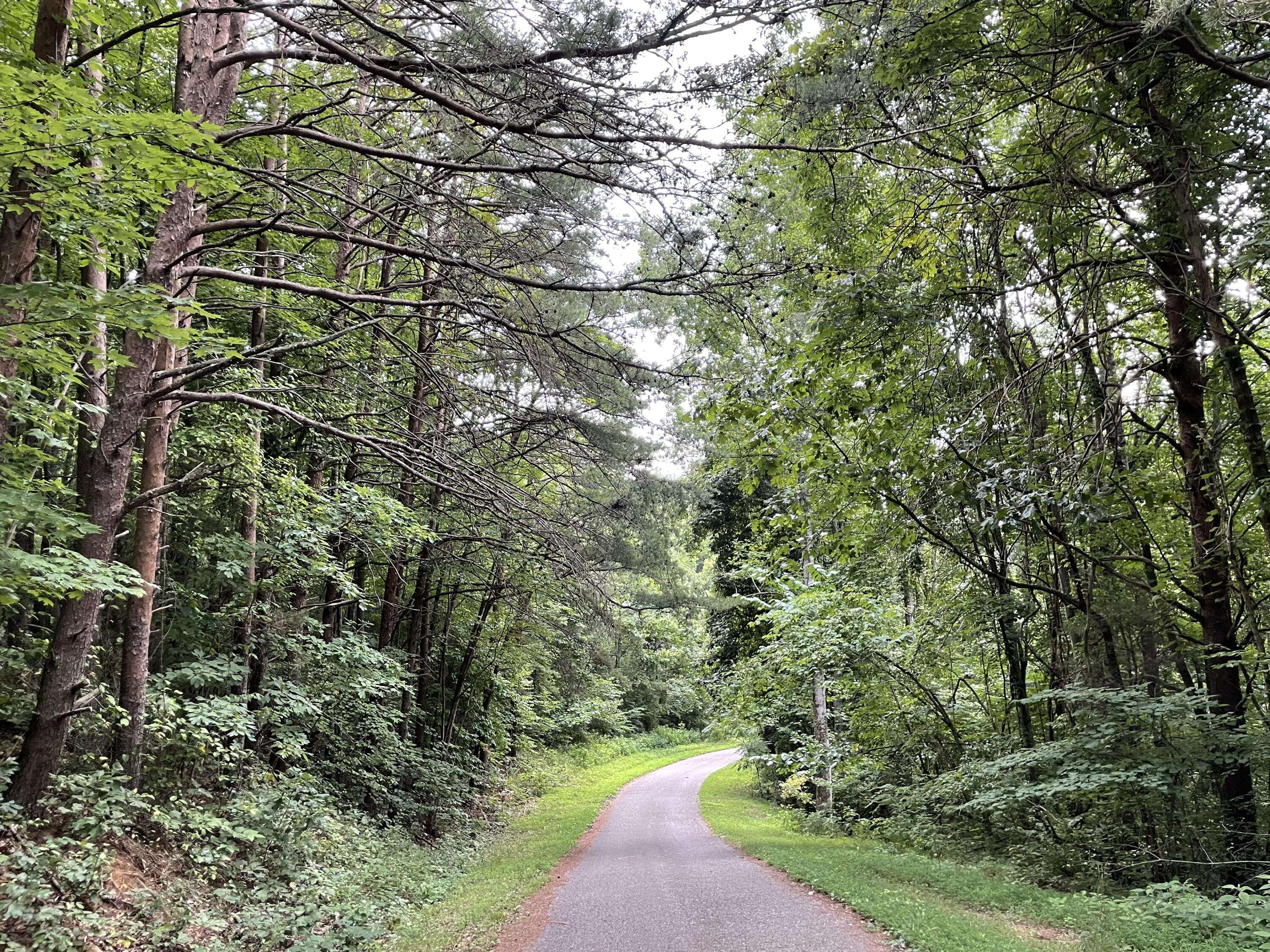 Brandi LN,  Jacksboro,  TN 37757