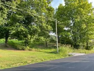 645 Farrell St, Niota, TN 37826