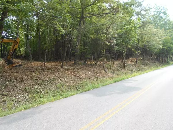 Ten Mile, TN 37880,Lot 2 Huff Bend LN