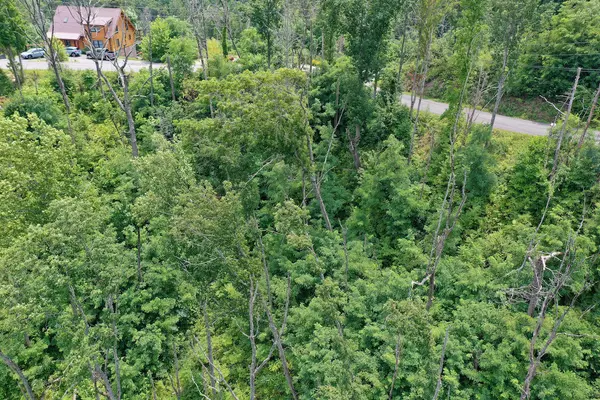 Gatlinburg, TN 37738,Lot 480 Pinecrest Dr.