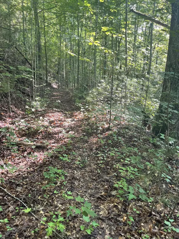 Tallassee, TN 37878,Lot 1B Happy Valley Rd