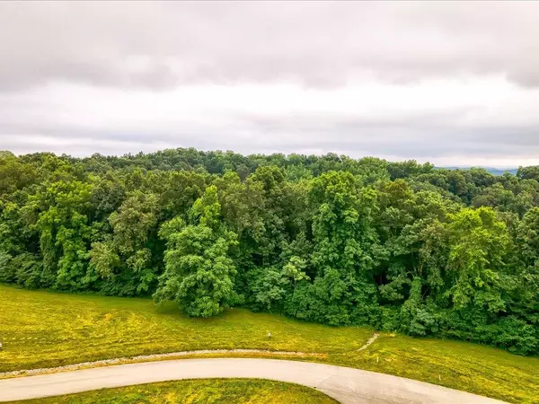 New Tazewell, TN 37825,Lot 228 Jade LN