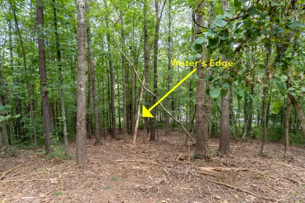 Vonore, TN 37885,Lot 4 Bat Creek Shores LN