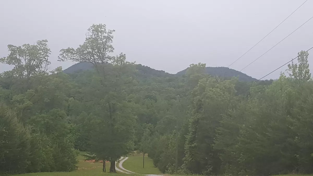 Tellico Plains, TN 37385,Williams Rd