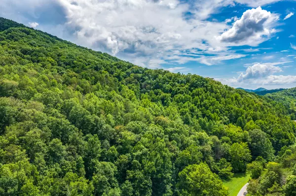 Spruce Pine (330 Acres) Rd, Mooresburg, TN 37811