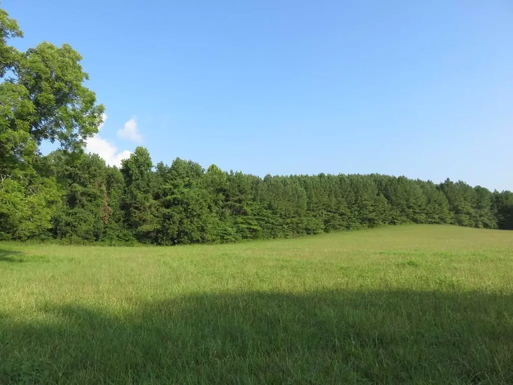 Decatur, TN 37322,Lot 2 State Highway 58 N