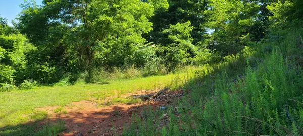 New Tazewell, TN 37825,Lot 346 Platinum DR