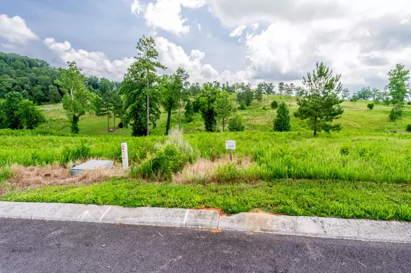 Loudon, TN 37774,Lot 245 Lake Ferry DR