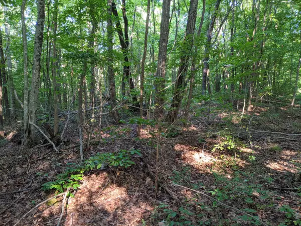 Spring City, TN 37381,Lot 52 Laurel Road