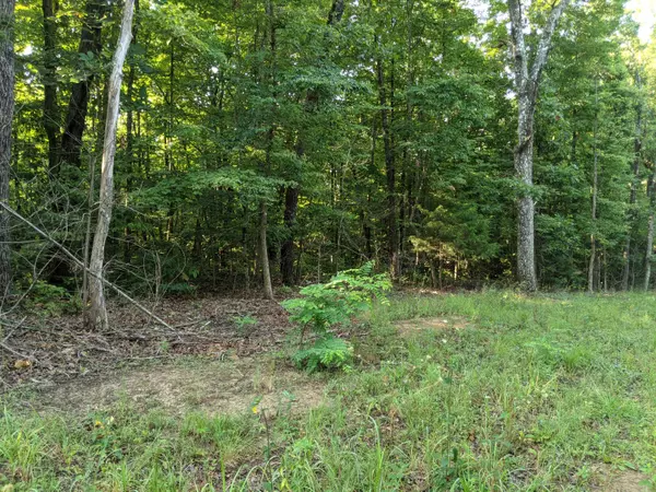 Spring City, TN 37381,Lot 52 Laurel Road