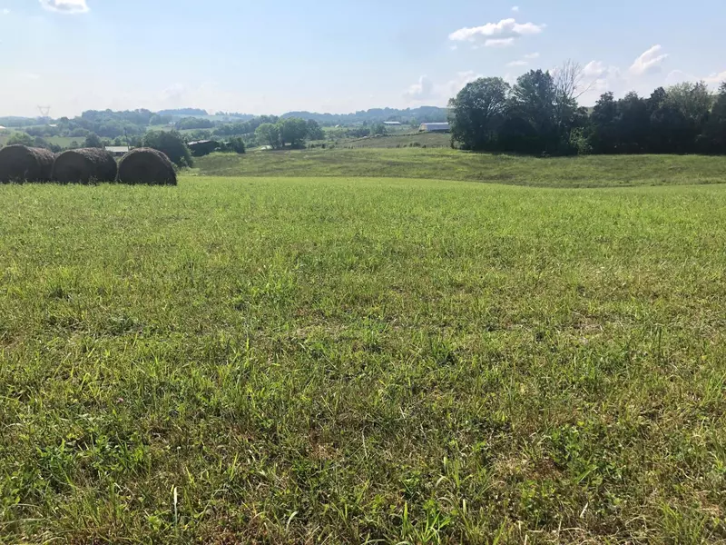 00 Robertson Creek Rd, Whitesburg, TN 37891