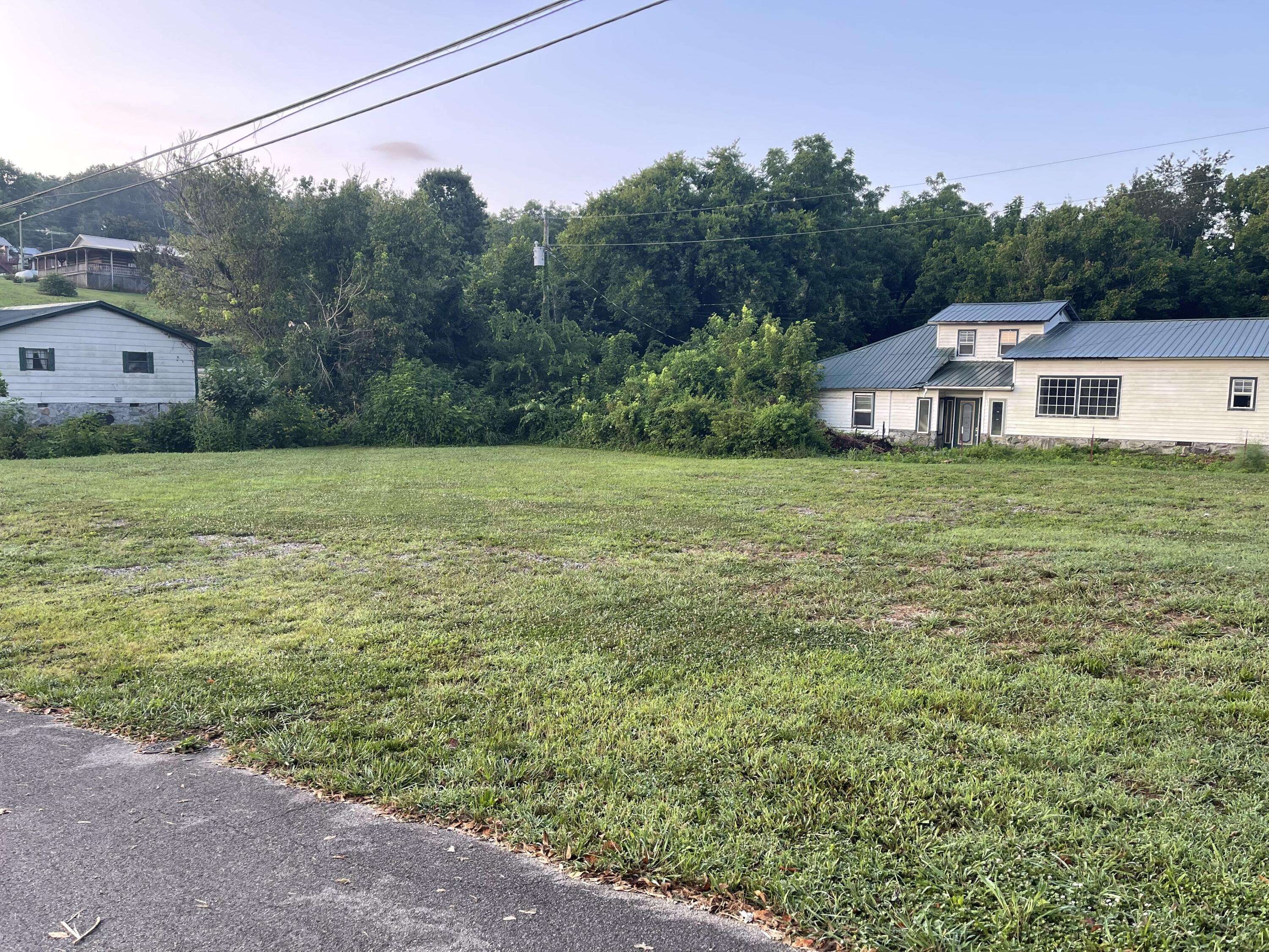 Tellico Plains, TN 37385,403 Harrison St