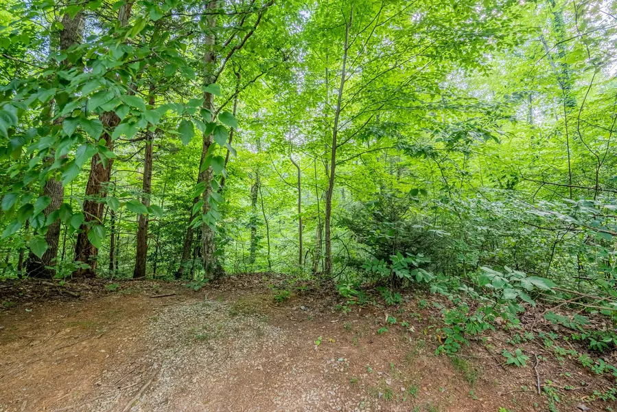 Lot 0662 Battle Top Rd, Sevierville, TN 37876