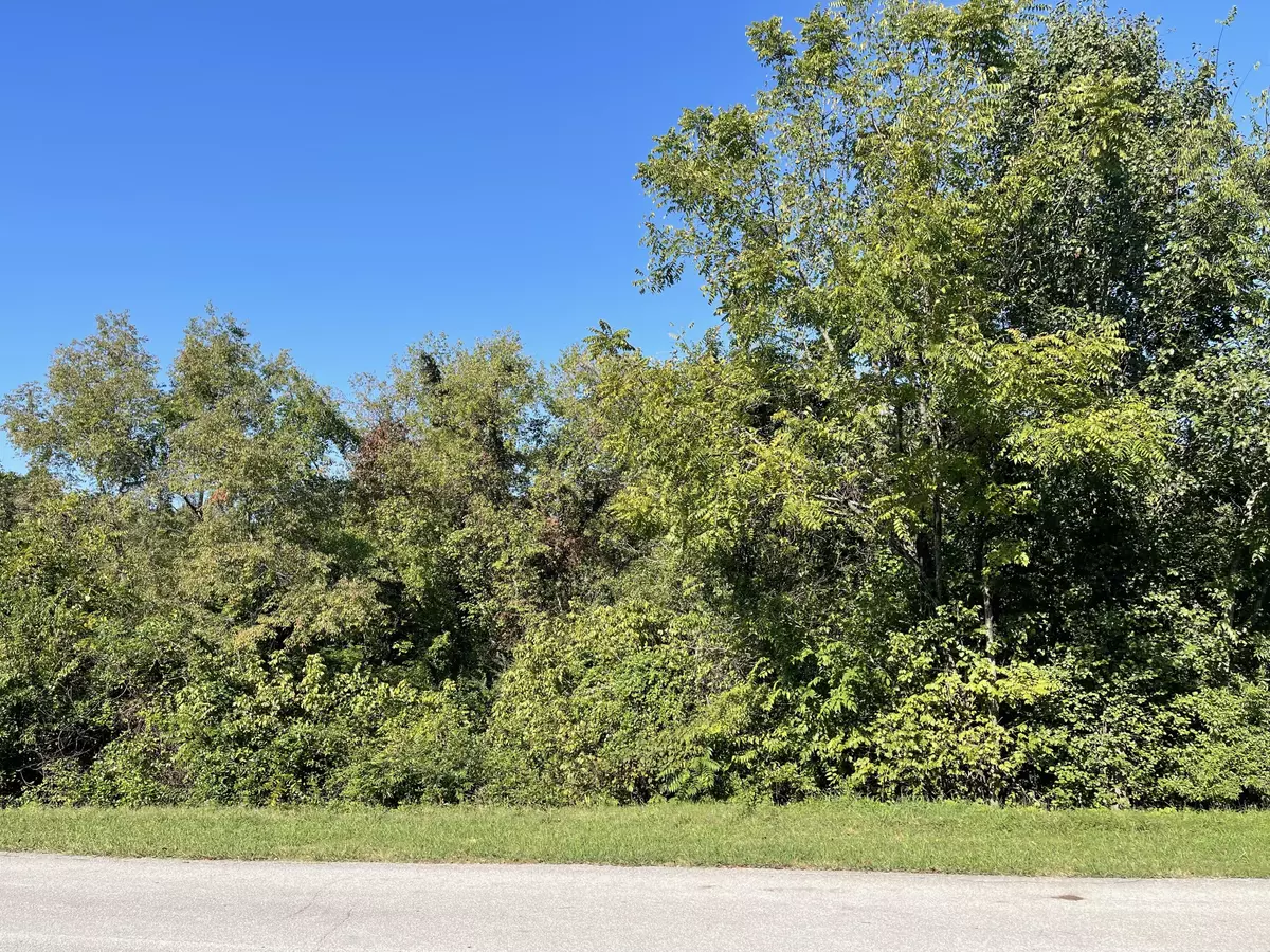 Vonore, TN 37885,Lot 152 Cherokee Drive