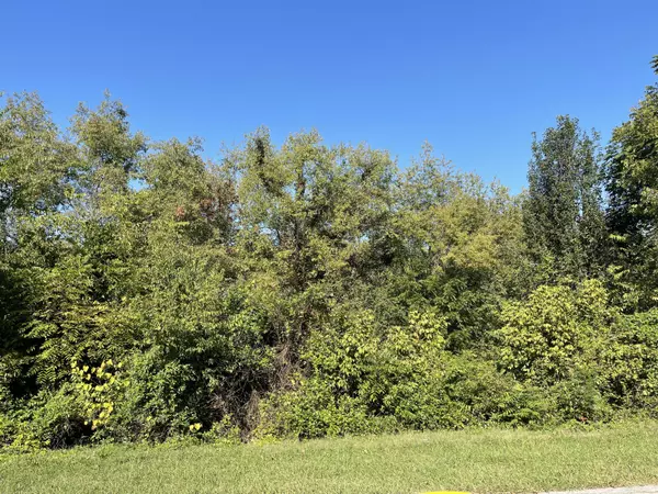 Vonore, TN 37885,Lot 152 Cherokee Drive