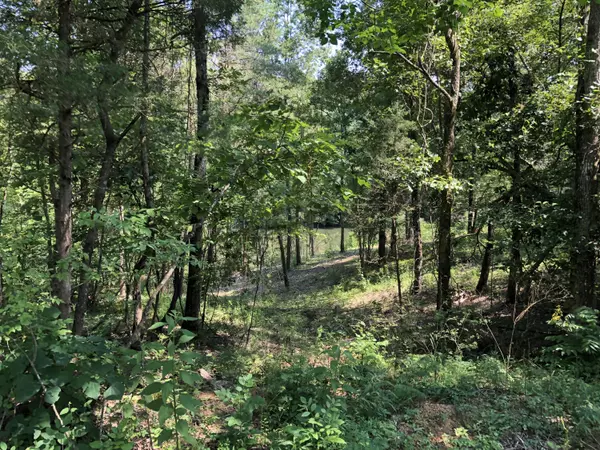 Tellico Plains, TN 37385,Welch Rd