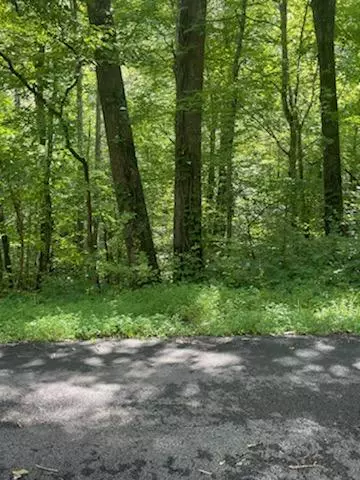 Lot 4 Lake DR, Gatlinburg, TN 37738