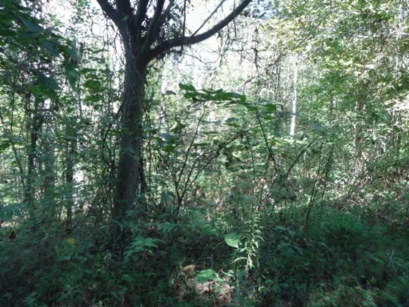 Lot 13 Rock Springs Rd, Celina, TN 38551