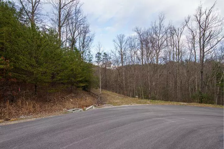 Jones Creek Lane, Sevierville, TN 37862