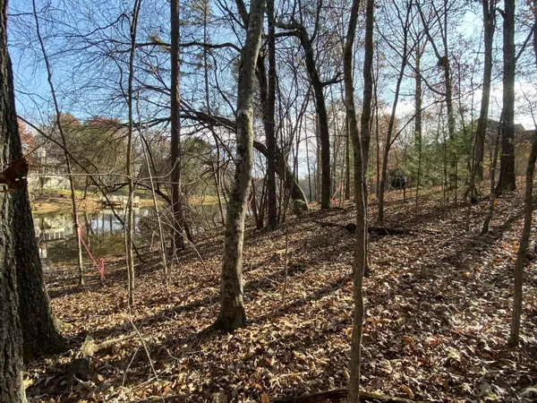 Fairfield Glade, TN 38558,150 Dalefield LOOP