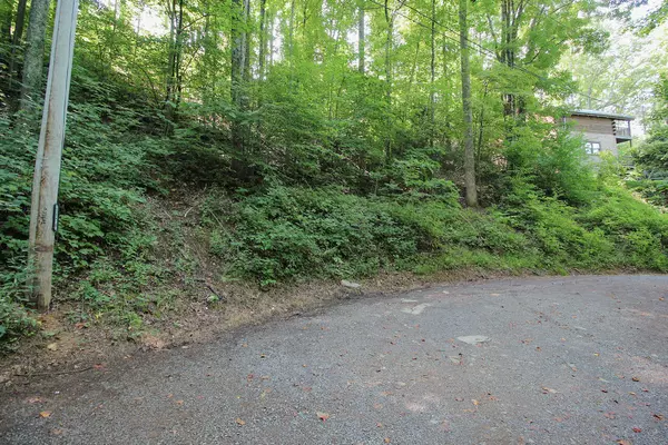 Sevierville, TN 37876,Lot 826 Orchard Dr.