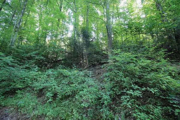 Sevierville, TN 37876,Lot 826 Orchard Dr.