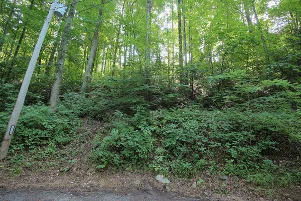 Sevierville, TN 37876,Lot 826 Orchard Dr.