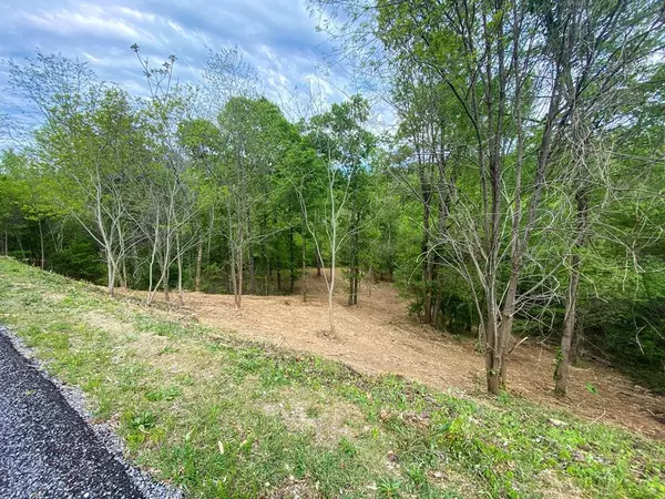 Lot 25 Stone Bridge DR, Dandridge, TN 37725