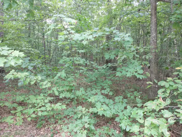 Sunbright, TN 37872,Lot #5 Crest View Drive