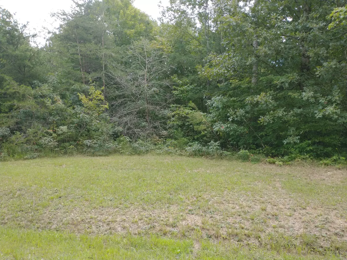 Sunbright, TN 37872,Lot #5 Crest View Drive