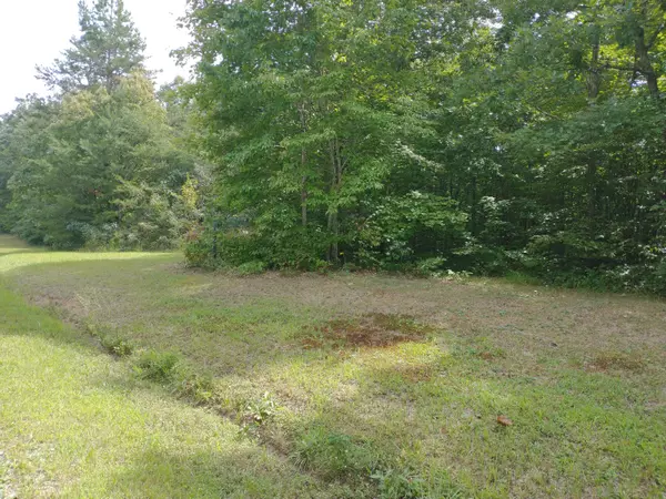 Sunbright, TN 37872,Lot #5 Crest View Drive