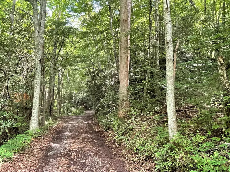 Possum Hollow Rd, Cosby, TN 37722