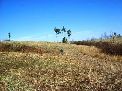 Tellico Plains, TN 37385,Belltown Rd